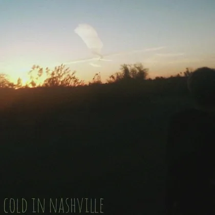 Cold in Nashville cover art